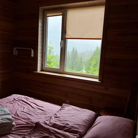 для отдыха дискавери Holiday home Yablunytsya