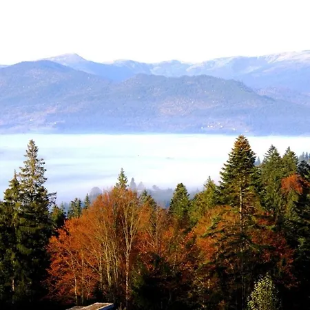 для отдыха дискавери *