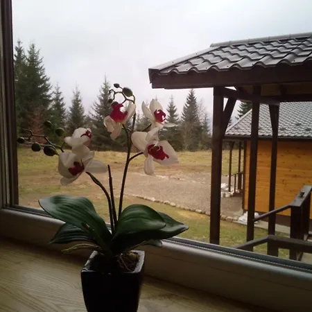 для отдыха дискавери