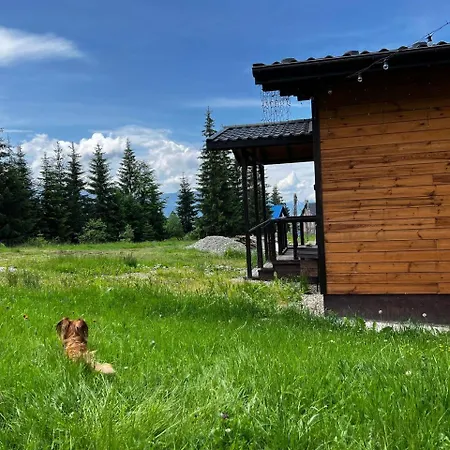 для отдыха дискавери *