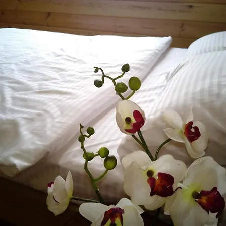 для отдыха дискавери * 야블루니츠야