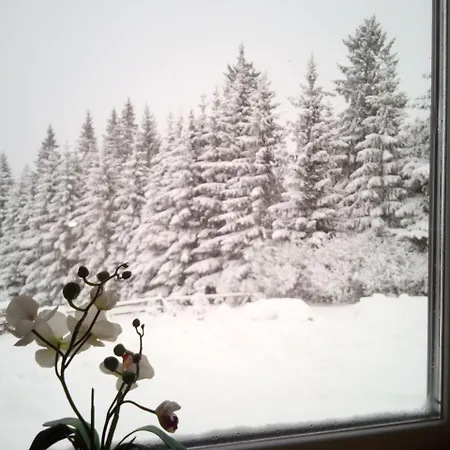 для отдыха дискавери *