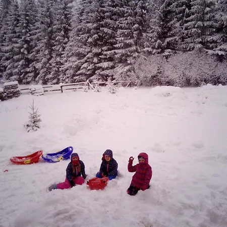 для отдыха дискавери 펜션 *